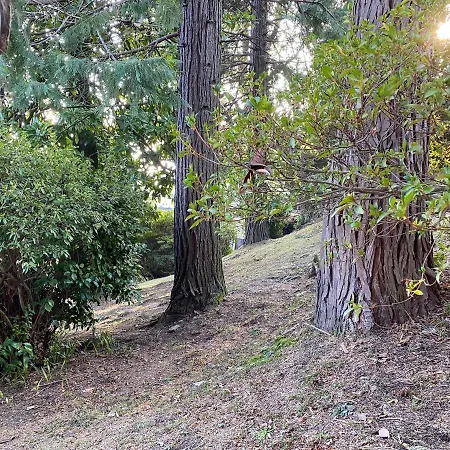 Frankie's House Отель типа 