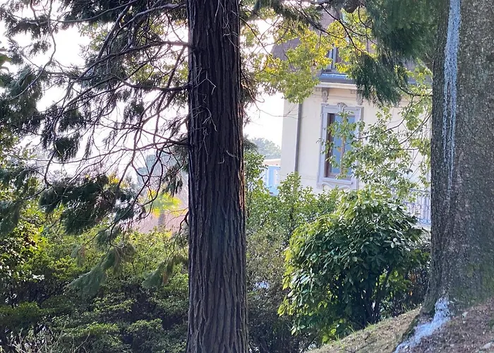 Frankie's House Отель типа 