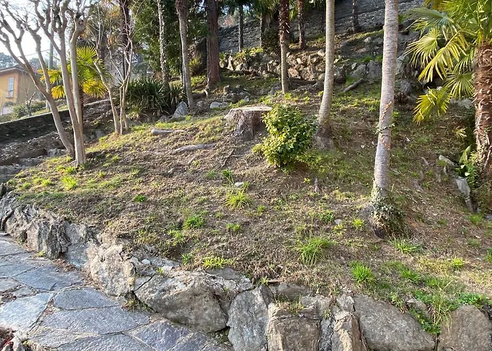 Frankie's House Nocleg ze śniadaniem 3*