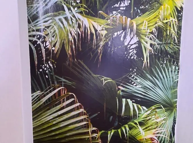 Frankie's House Nocleg ze śniadaniem Ghiffa