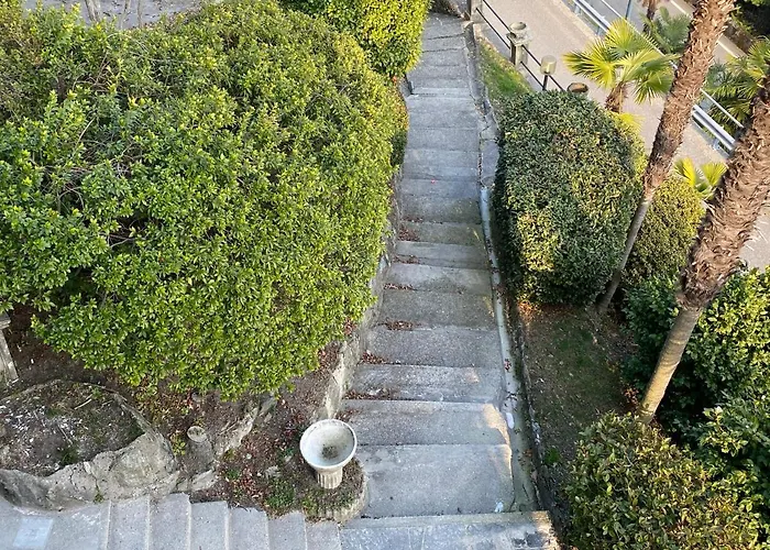 Frankie's House 기파