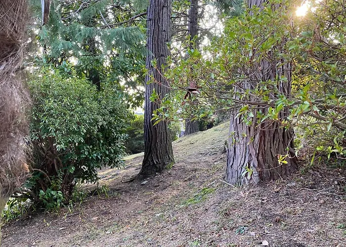 Frankie's House B&B 3*