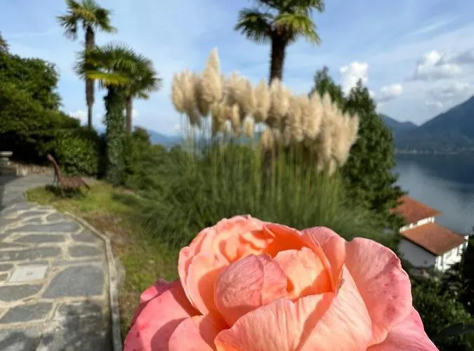 Frankie's House Bed & Breakfast